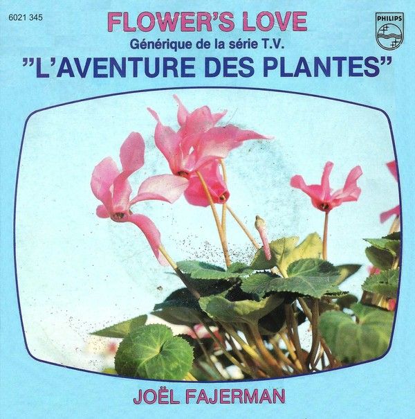 JOEL FAJERMAN Flower's Love